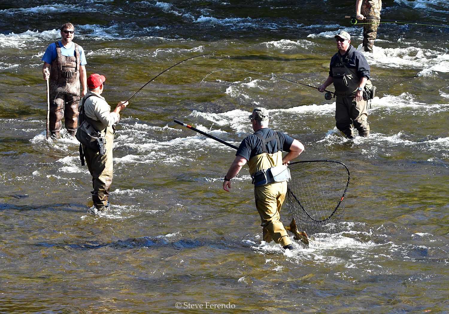 "Natural World" Through My Camera Salmon Spawning Run, Salmon River